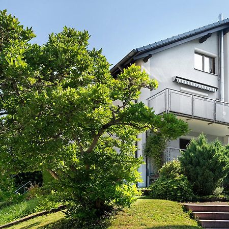 Ferienwohnung Das Nest Schiltach Zewnętrze zdjęcie