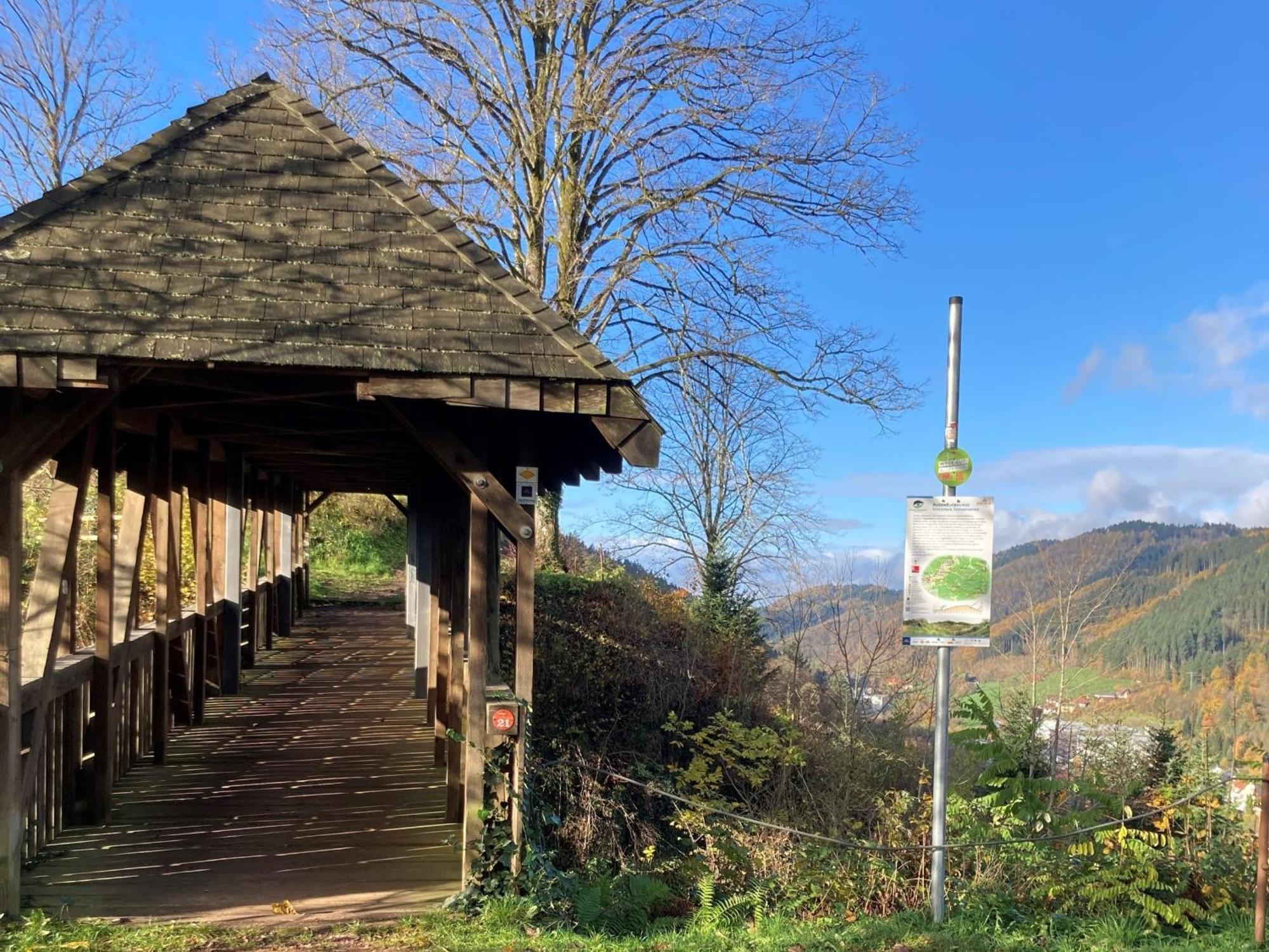 Ferienwohnung Das Nest Schiltach Zewnętrze zdjęcie