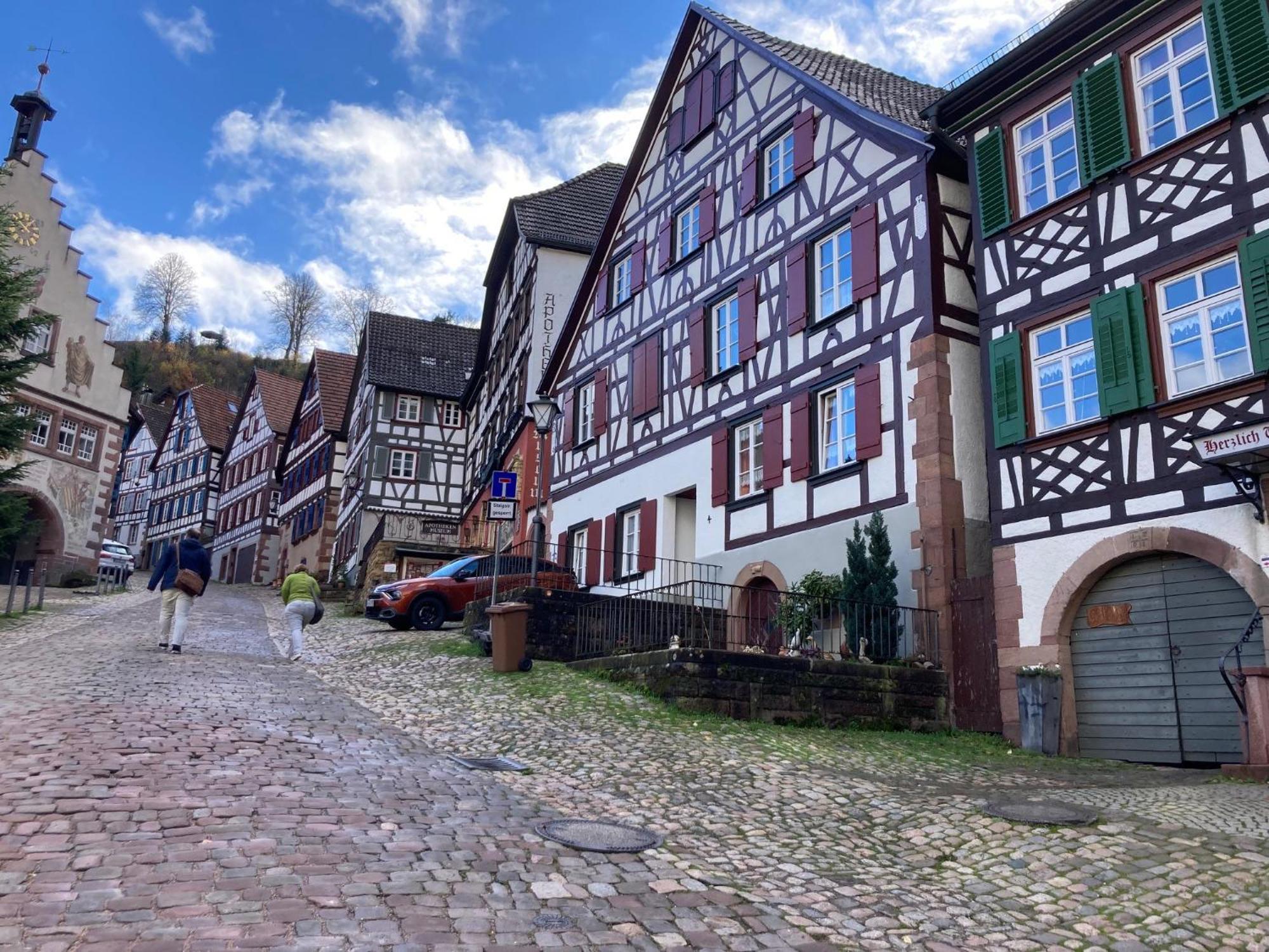 Ferienwohnung Das Nest Schiltach Zewnętrze zdjęcie